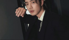 刘大锤最新爆料是谁,揭秘神秘幕后黑手身份揭晓！